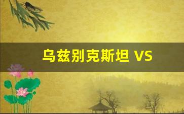 乌兹别克斯坦 VS 伊朗